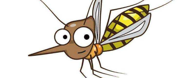 蚊子為什麼不會被同伴的屍體嚇跑