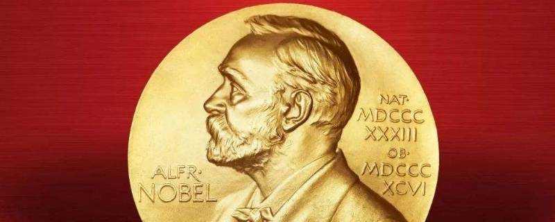 為什麼諾貝爾文學獎每年只頒給一個人