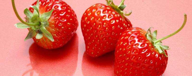 草莓是感光食物嗎