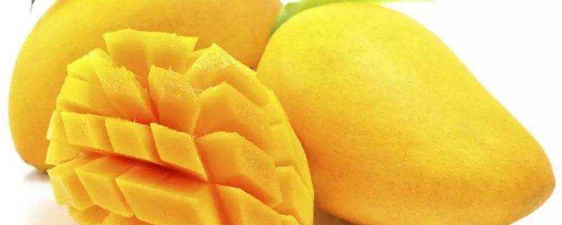 芒果分類