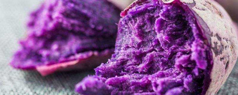 紫薯蒸多久能熟