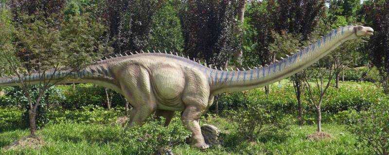 恐龍的種類