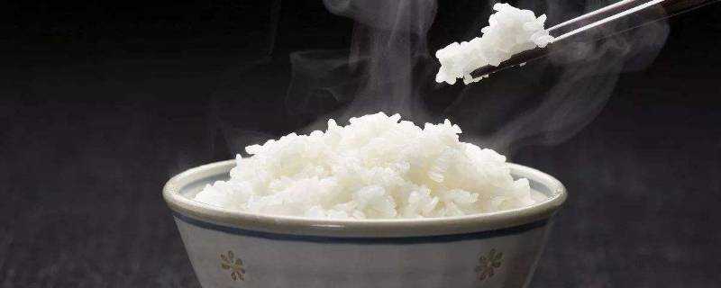 米飯怎麼做好吃