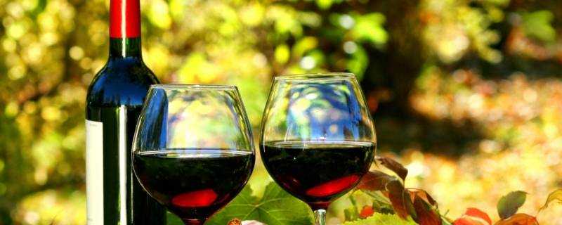 乾紅和葡萄酒的區別