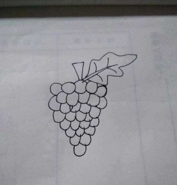葡萄簡筆畫畫法是什麼