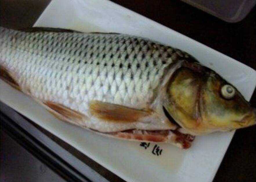 釀魚的做法