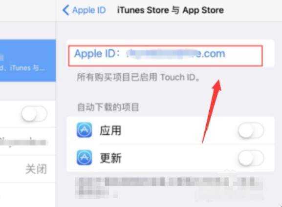 iPad登入的ID能刪除嗎