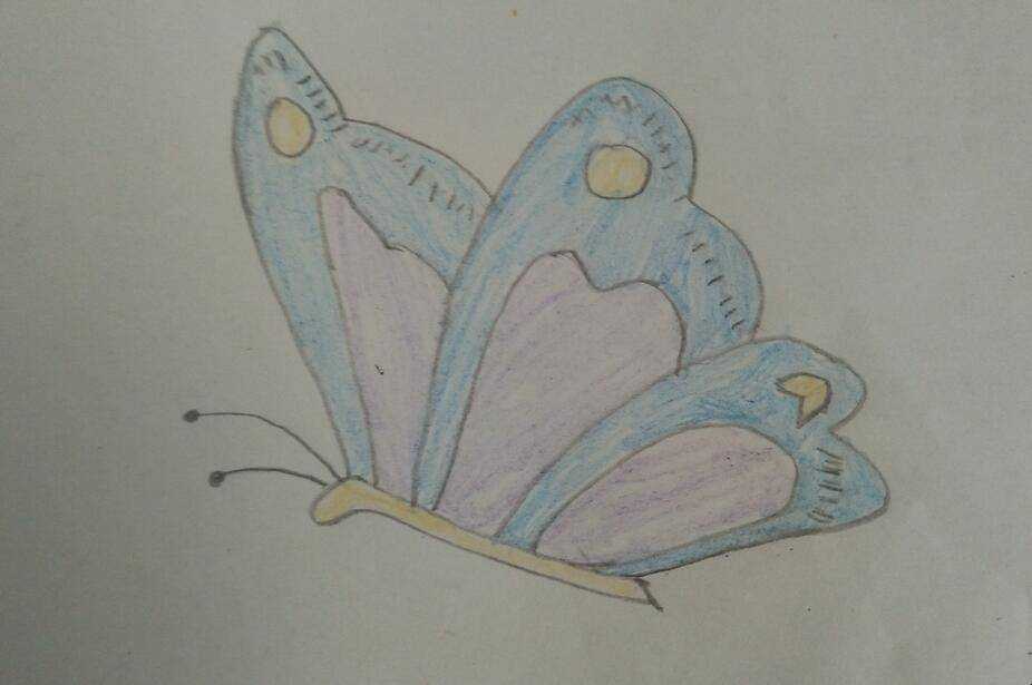 蝴蝶簡筆畫怎麼畫