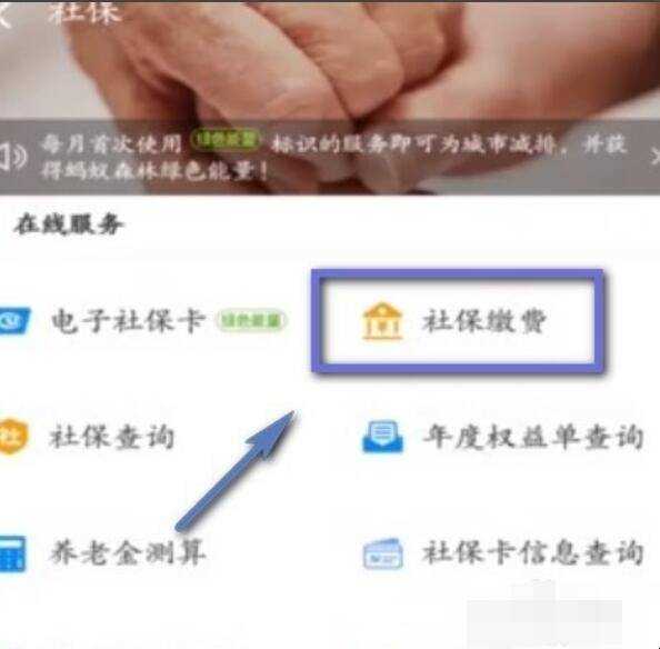 支付寶怎麼進行社保繳費