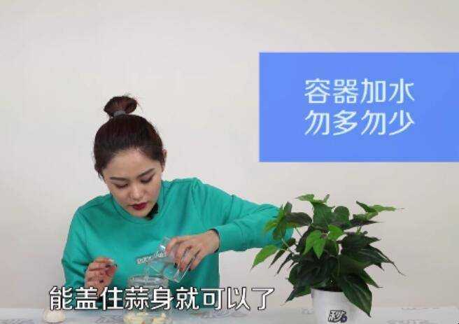 水種大蒜的種法是什麼