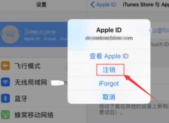 iPad登入的ID能刪除嗎