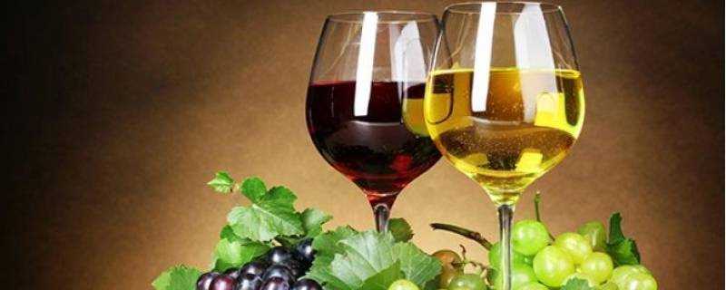 紅葡萄酒和白葡萄酒的區別