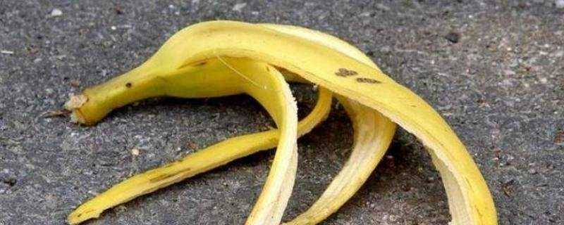香蕉的皮為什麼會越放越薄
