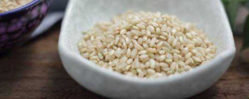 糙米是什麼