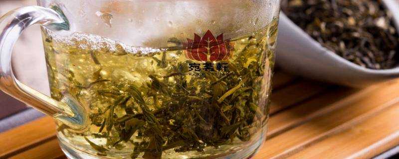 毛峰是什麼茶