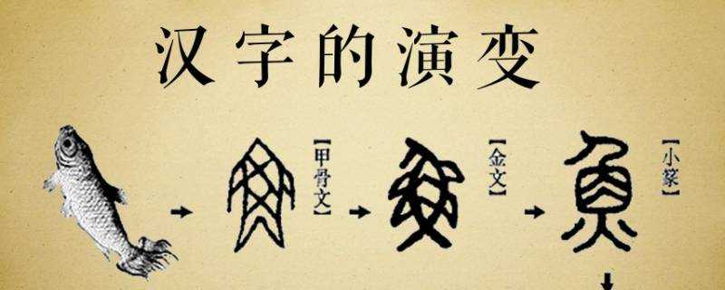 中國漢字的演變過程