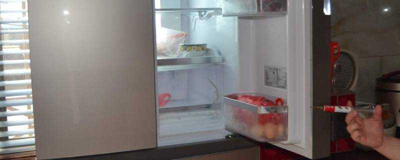 冰箱裡面有蟑螂怎麼辦