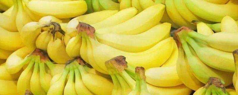 香蕉挑選大的還是小的