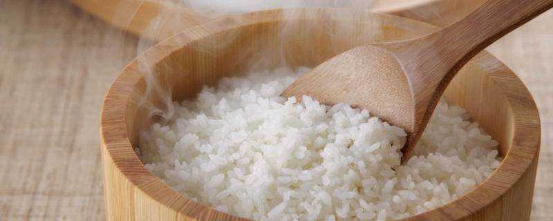 米飯的熱量是多少大卡