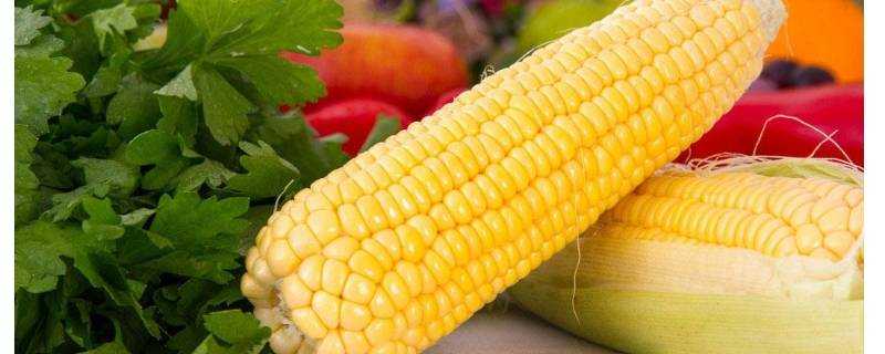玉米的熱量算玉米棒嗎