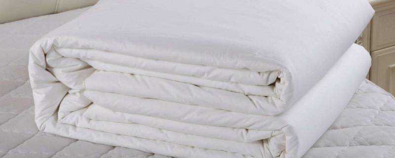 蠶絲棉和純棉的區別