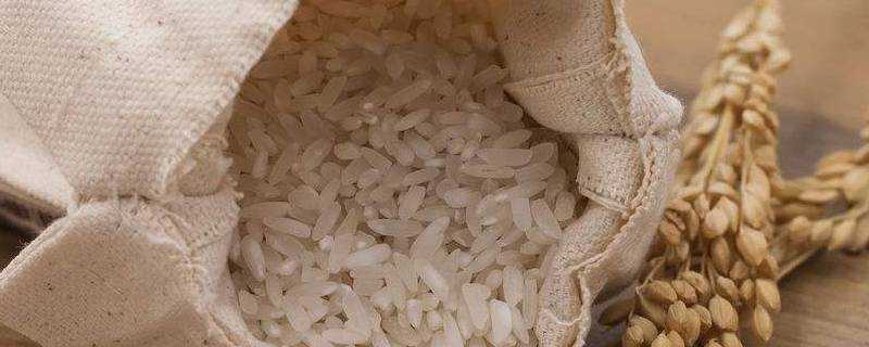 大米的成分有哪些物質
