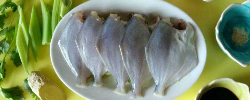 冷凍小平魚怎麼做好吃