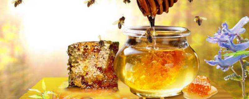 蜂蜜的儲存方法可以放在冷藏嗎