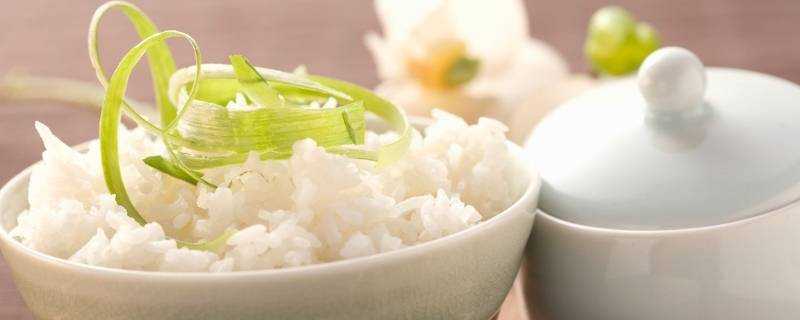 米飯屬於什麼類的食物