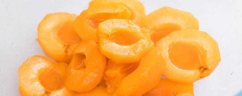 杏子醬可以儲存多久