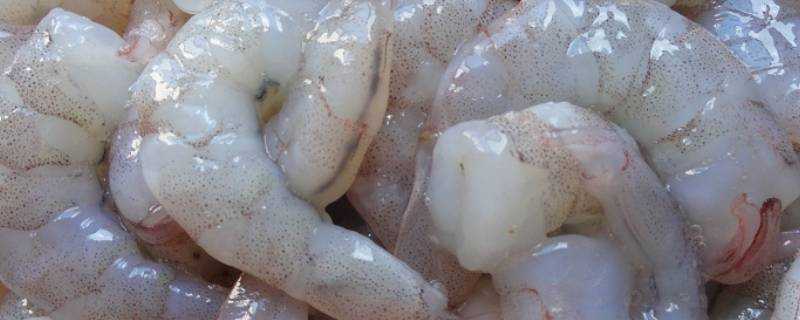 曬乾的海蝦仁怎麼做好吃