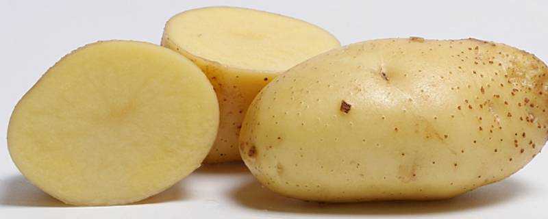 怎麼辨別黃心土豆