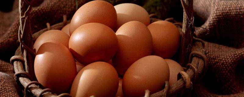 綠雞蛋和白雞蛋有什麼不同