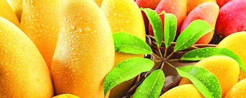 熱帶水果可以放在冰箱裡嗎