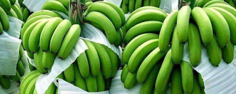 青的香蕉怎麼放才熟啊