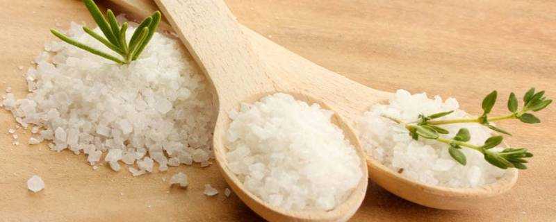 食用鹽可以替代浴沙嗎