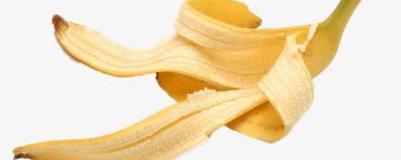 香蕉皮能迴圈使用嗎