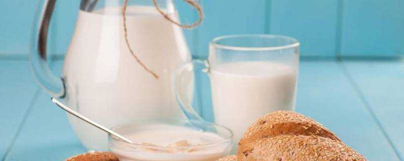 奶類主要可以提供哪些營養成分