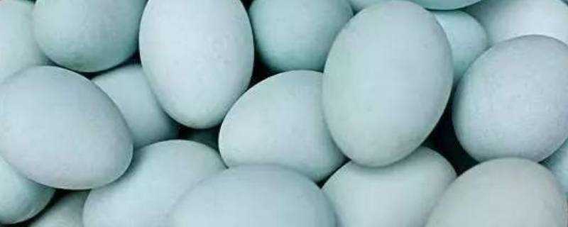 怎麼判斷鴨蛋是否變質