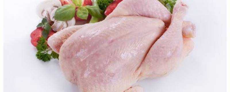 雞肉放冰箱冷凍可以放多久