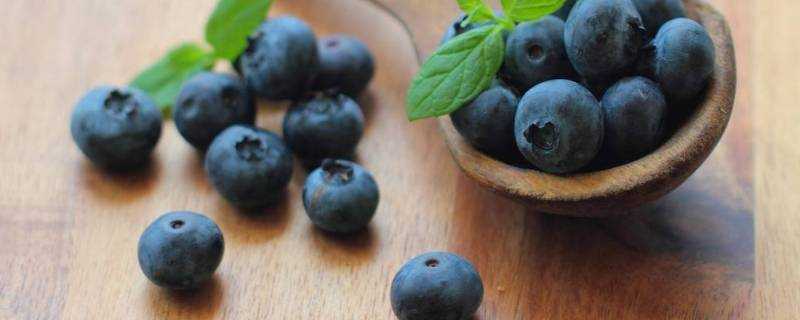 藍莓怎麼洗才幹淨藍莓帶皮吃嗎