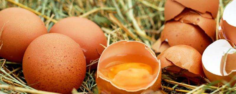 煮雞蛋蛋黃表面灰色的是什麼