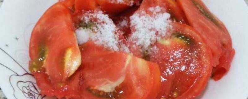 單獨番茄可以做什麼菜