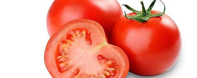 單獨番茄可以做什麼菜