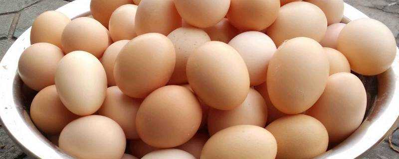 從冰箱拿出的雞蛋可以放多久