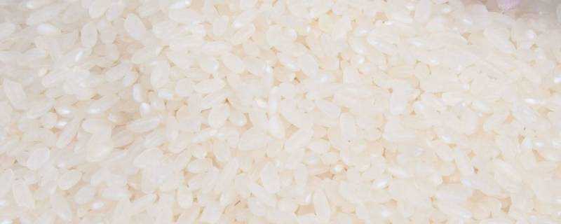 大米做散粉能用嗎