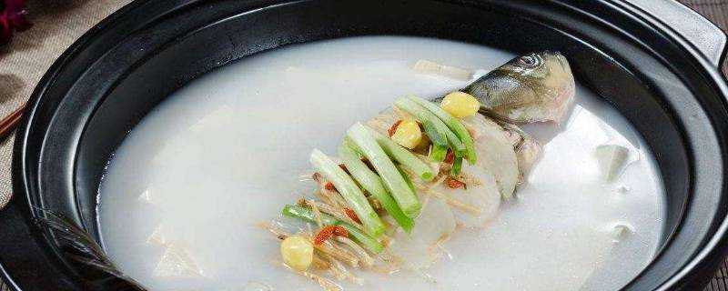 喝不完的魚湯怎麼儲存
