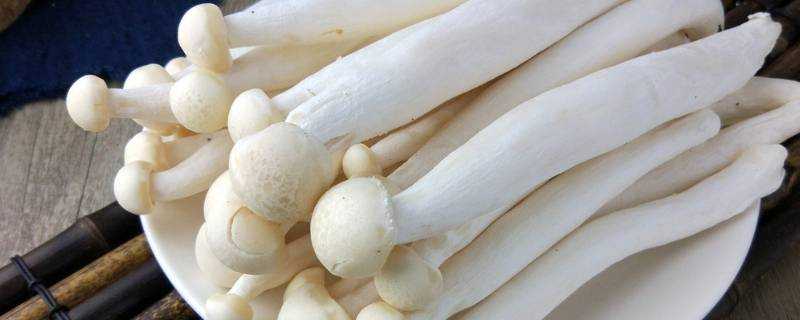 海鮮菇怎麼洗