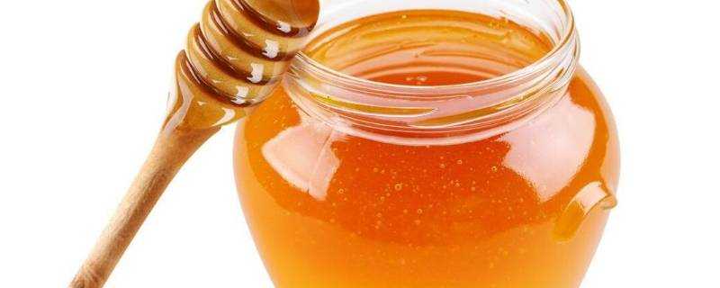蜂蜜最佳取蜜是幾月份