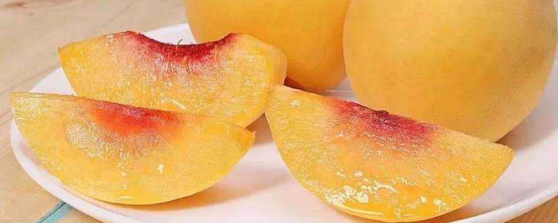 黃桃能放到冰箱裡冷藏嗎